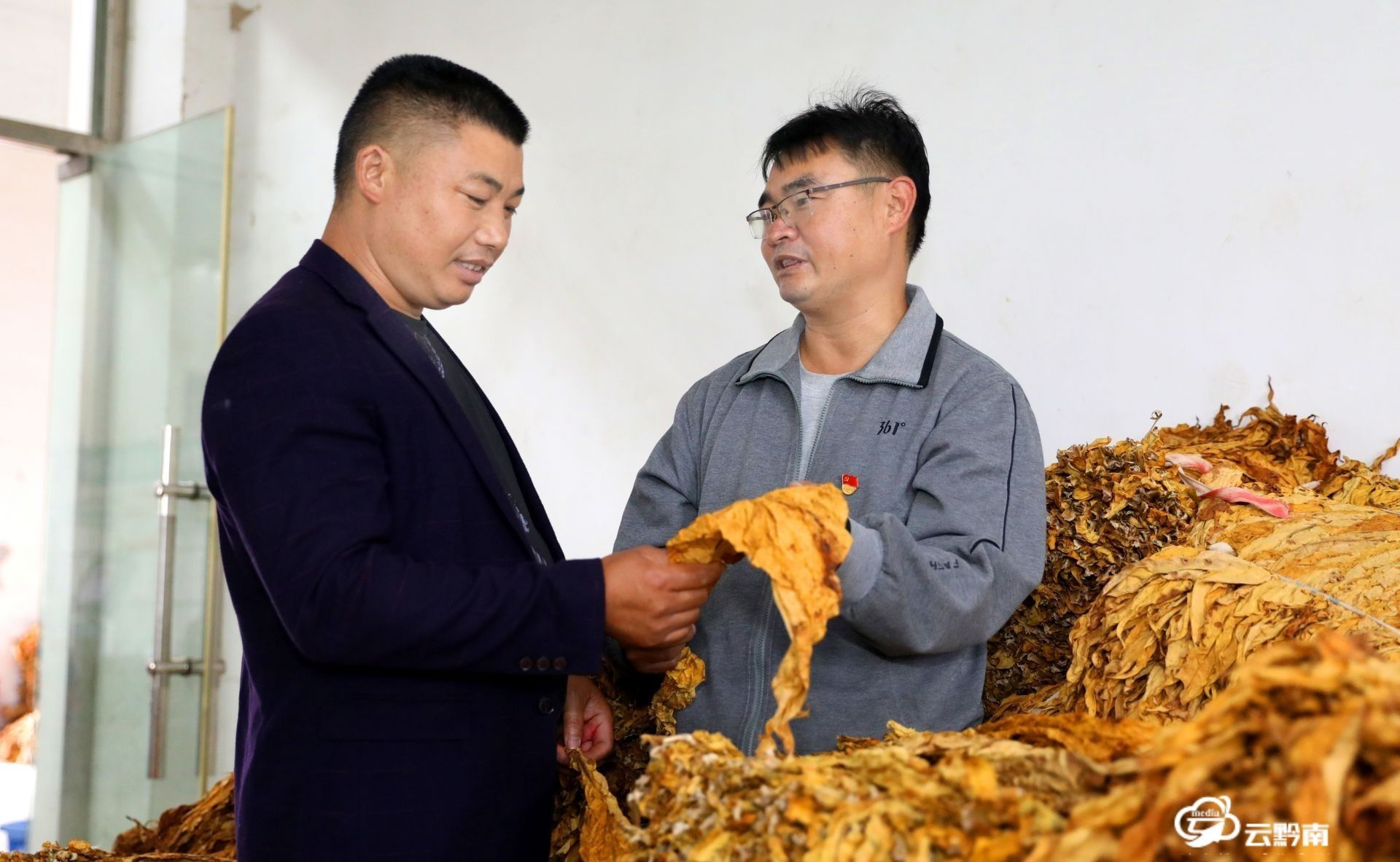 多措并举推进烤烟工作,烟叶党建与业务融合具体工作措施