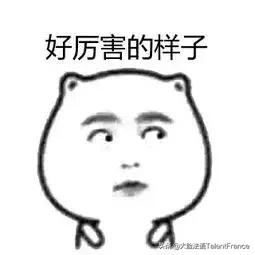 巴黎奥运会logo哪一年亮相,巴黎奥运会logo如何解读