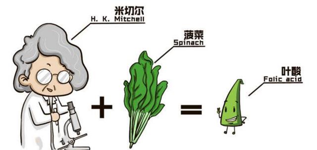 怀孕40天才开始吃叶酸还来得及吗,刚知道怀孕是不是要吃叶酸