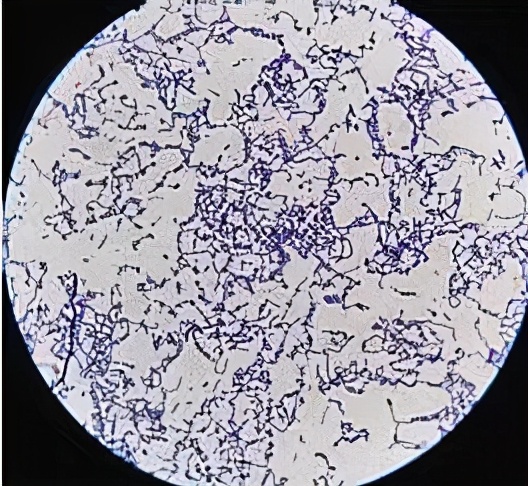 代孕对婴儿的健康危害,代孕婴儿的九大危害