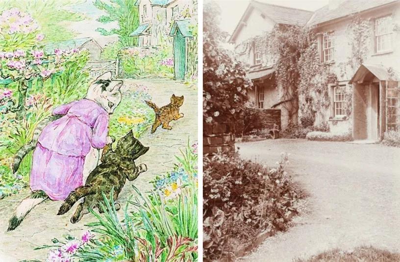 彼得兔的花园该怎么做,彼得兔的花园视频