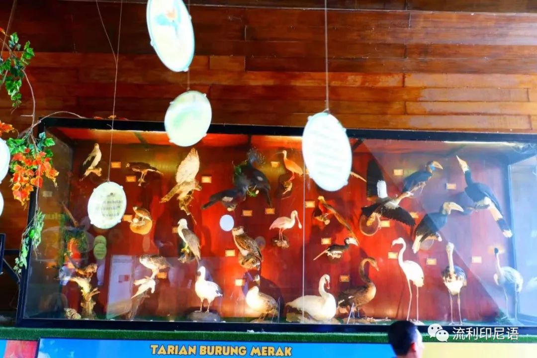 印尼玛琅游记,印尼玛琅海滩