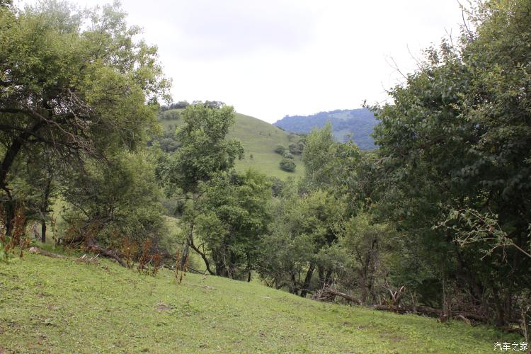 难忘的草原简谱完整版,难忘的草原女声完整版