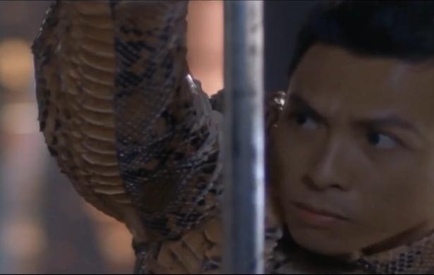 李连杰杨紫琼吴京主演的电影,杨紫琼吴京全部电影