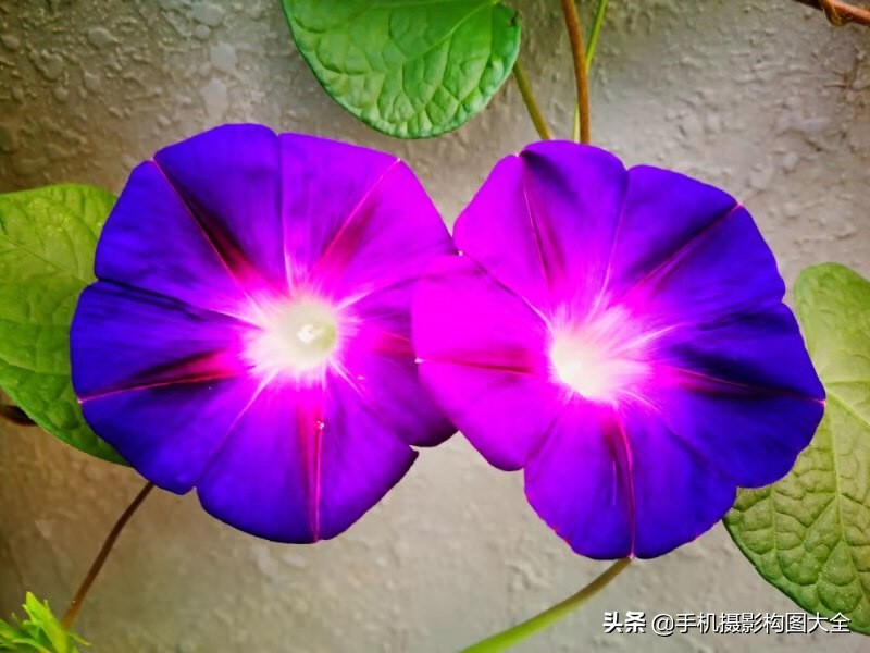 手机拍有趣照片,手机拍好看的全身照