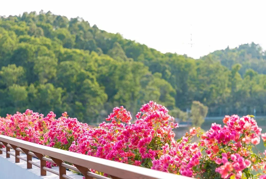 最美湖泊小众风景,最美湖泊西湖