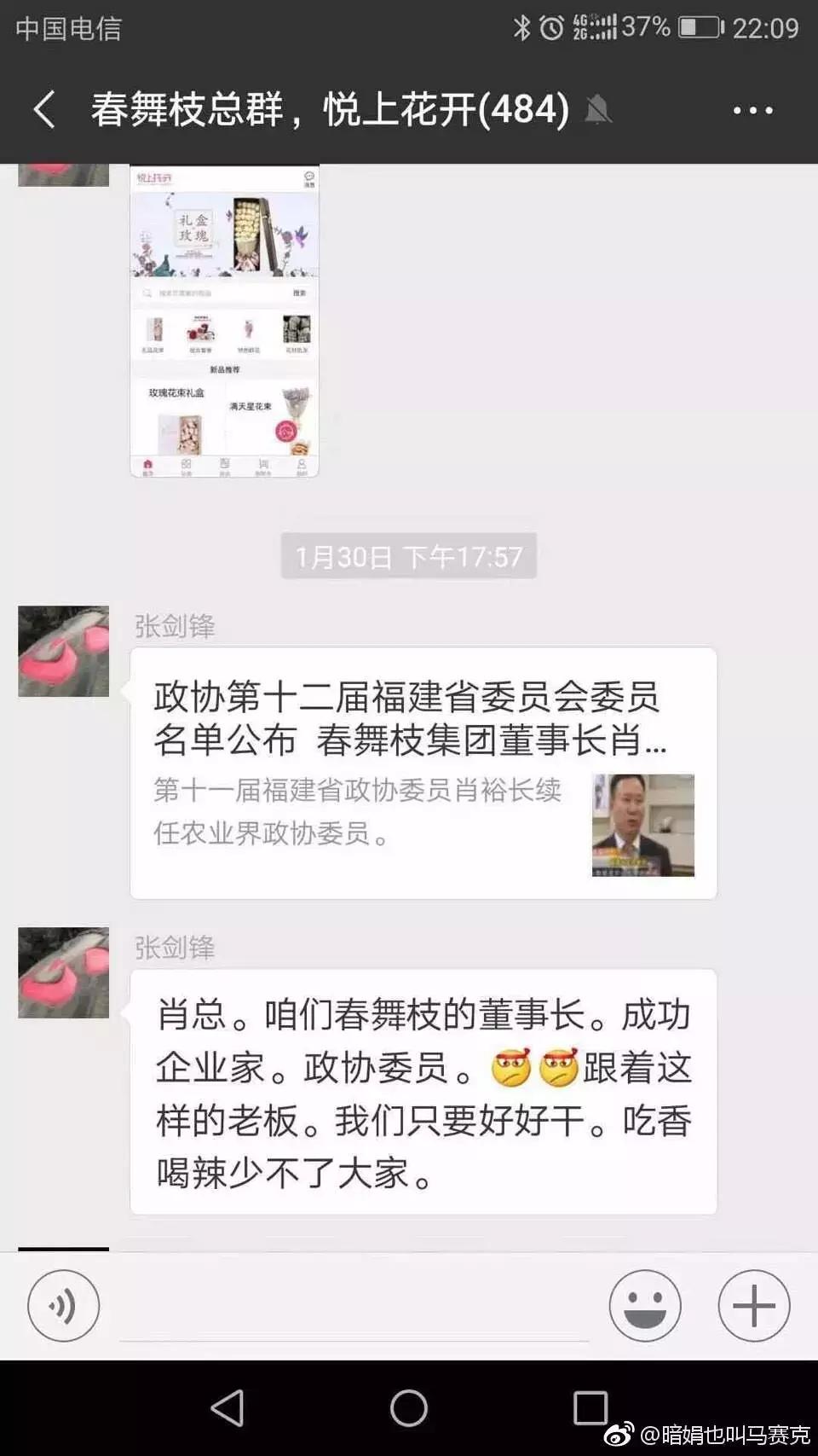 健康猫清退回款,健康猫现状如何