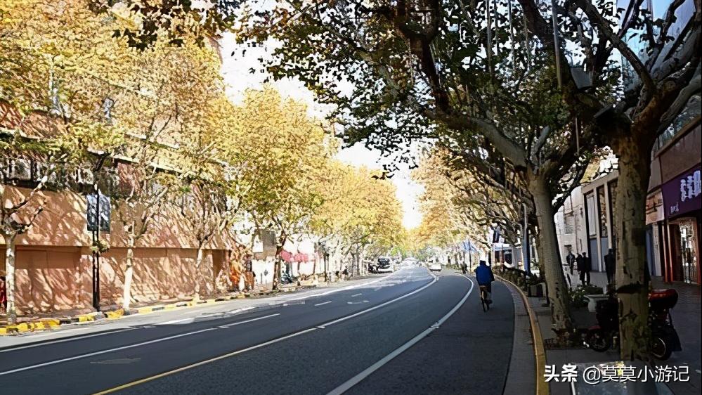 迷走上海山阴路,感受老上海的情怀,被时光遗忘的老马路