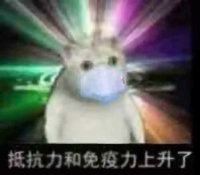 奇怪的知识增加了动图,奇怪的知识又增加了表情