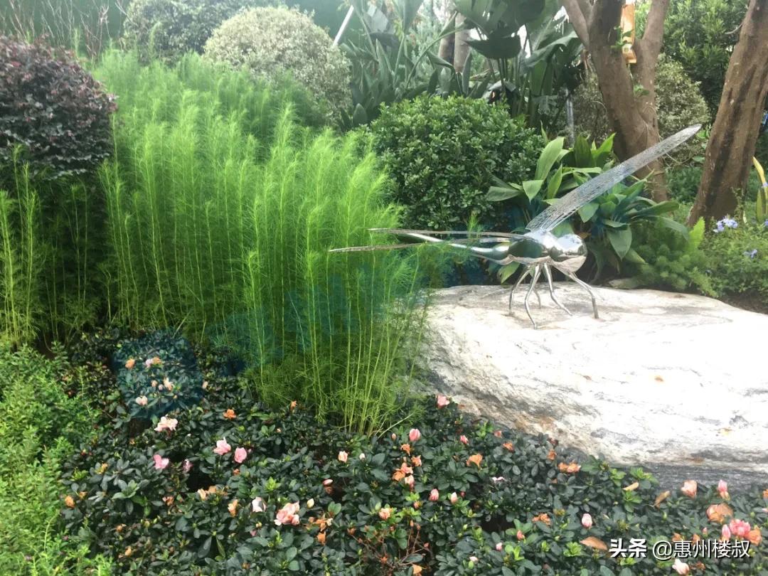 惠州金山湖中心区现房精装,金山湖首付5万的楼盘