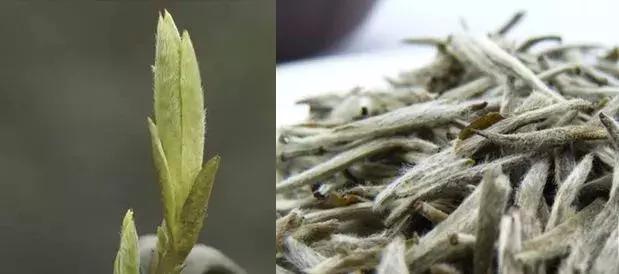 茶叶冲泡时表层漂浮的泡沫是什么,泡茶叶起了很多泡沫怎么回事