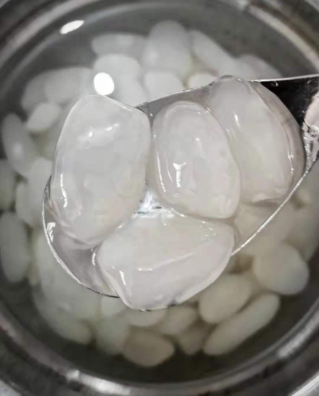 这种长在树上的“天马流星锤”,果实真的像极了“QQ糖”