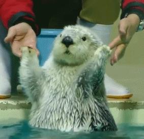 致敬奋斗者劳动节的主题,致敬劳动者活动总结