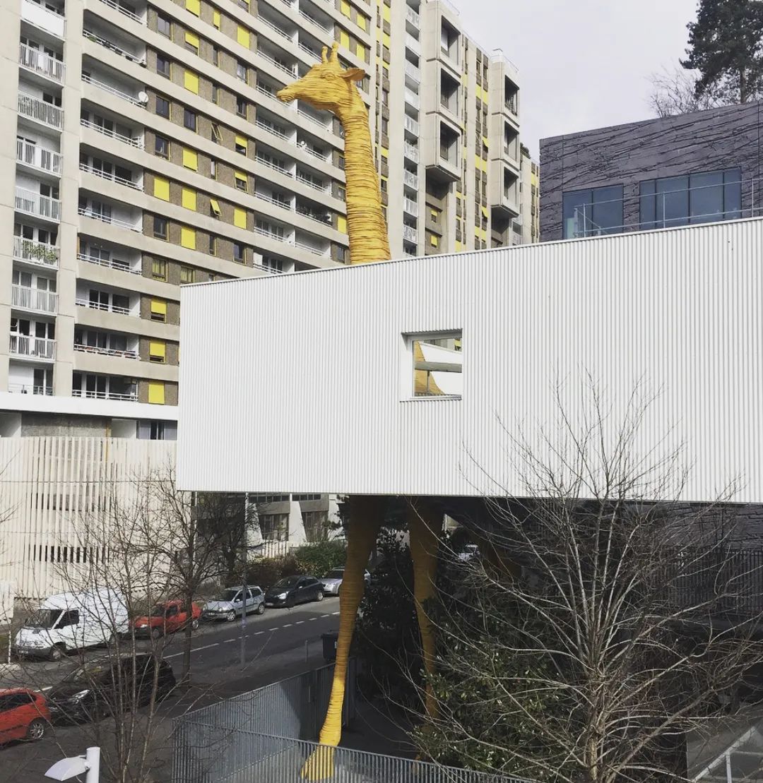 看了就想抱！这些“萌宠”温柔世界