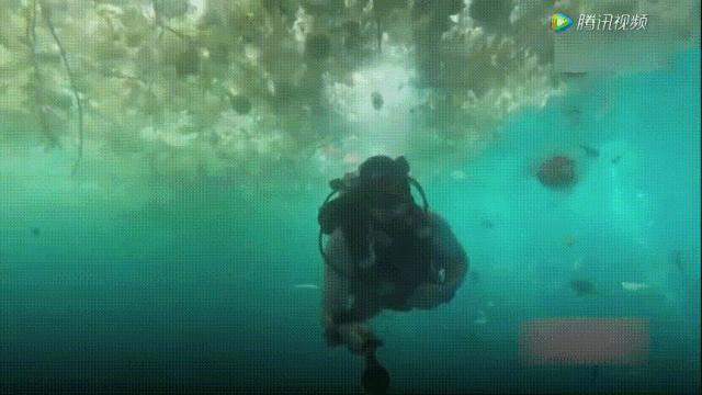 奥运会史上哪一届的奖牌最环保,奥运史上最心酸的一块奖牌