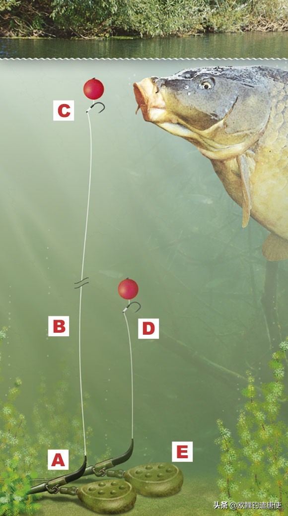 欧鲤钓组单柄鱼钩绑法,欧鲤钓组挂浮珠还是挂玉米