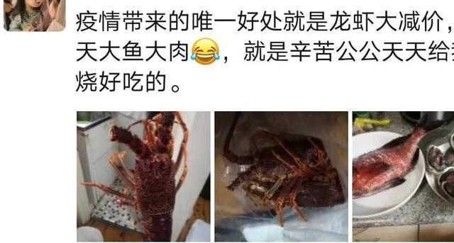 龙虾不吃东西,龙虾没人吃