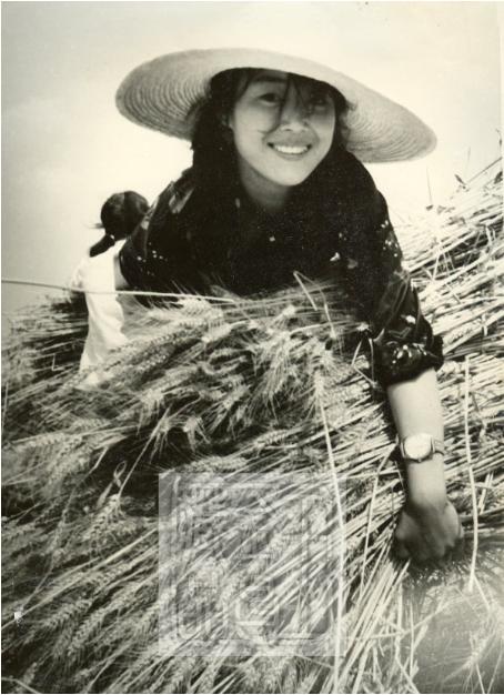 四子王旗乌兰花全景,乌兰花四子王旗