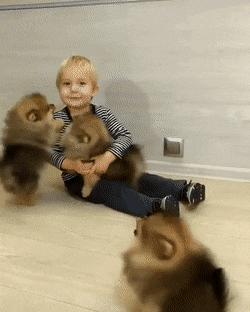 搞笑动图gif微信可爱表情包,搞笑动图gif微信表情包2019