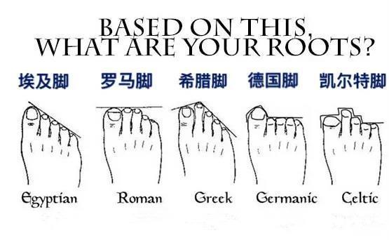 女性脚型有哪几种,脚型丑怎么才能变得好看点