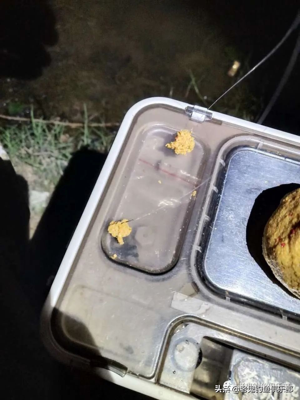 老鬼的大板鲫狂拉野钓视频,老鬼大板鲫狂拉怎么样