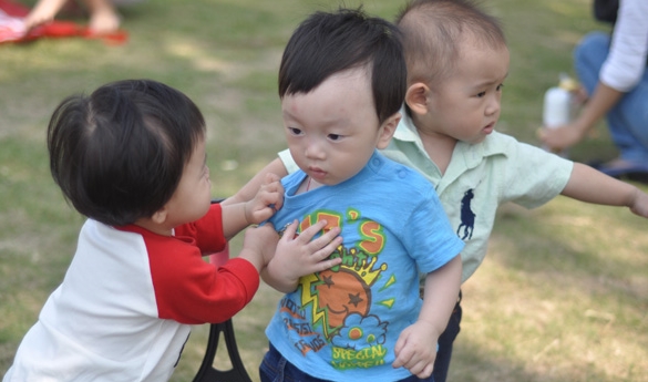 2岁的宝宝被小朋友抢玩具怎么办,2岁宝宝被抢玩具的小孩咬伤