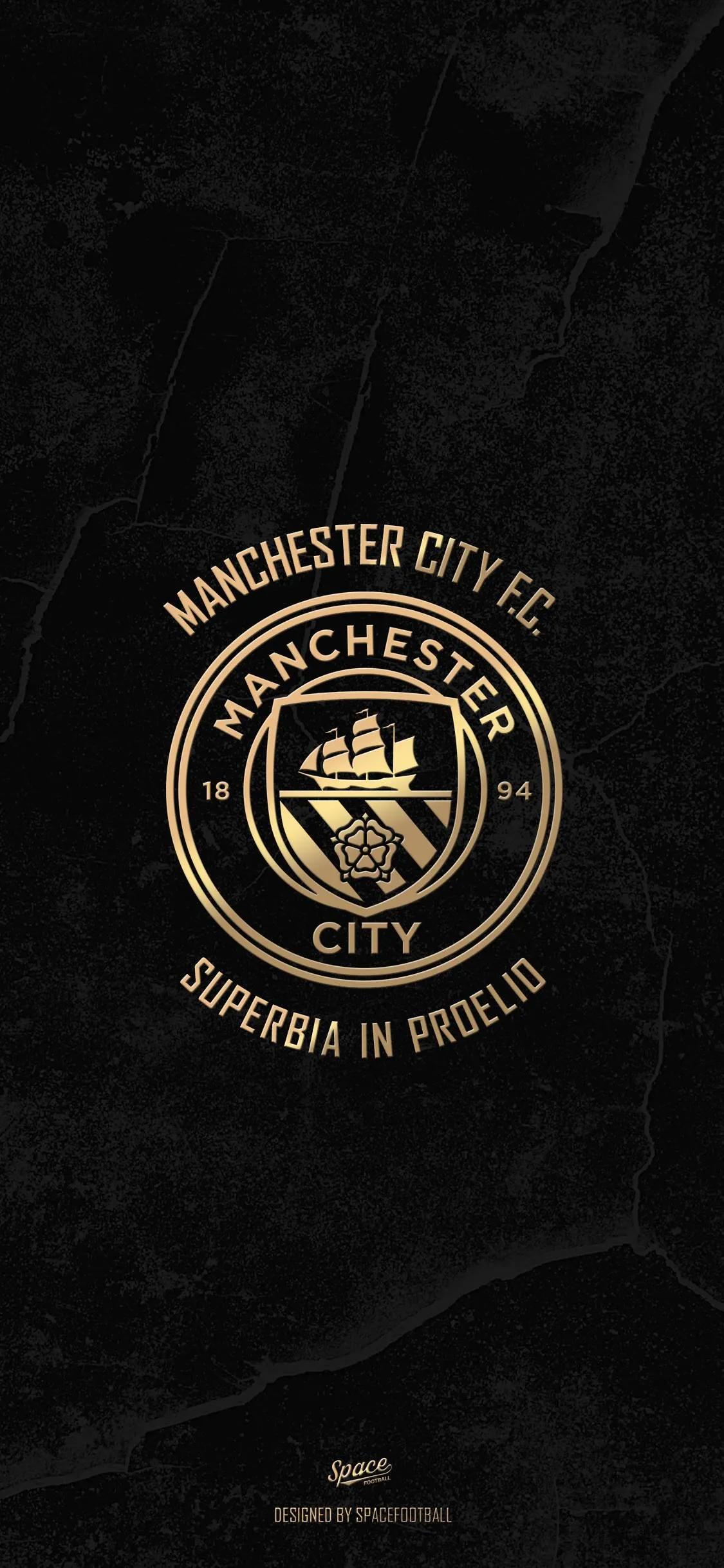 曼城夺得足总杯冠军壁纸,曼城英超夺冠壁纸