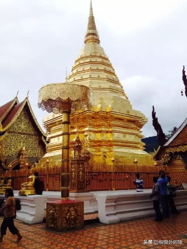 泰北玫瑰的英文,泰北玫瑰图片