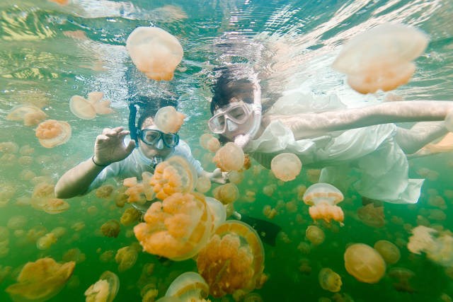 比马尔代夫更高级的岛屿,太平洋海岛帕劳旅游攻略