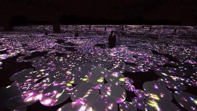 玩转中国中国著名旅游景点宣传片,曲江必去的十大景点都是免费的吗