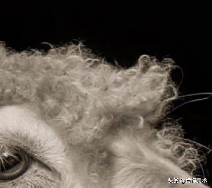 动物毛发素描,素描如何表现动物毛发