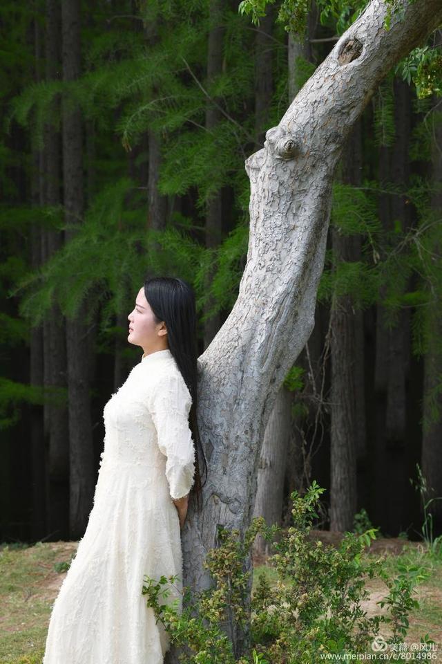 大美新蔡生态水城,大美新蔡等你来