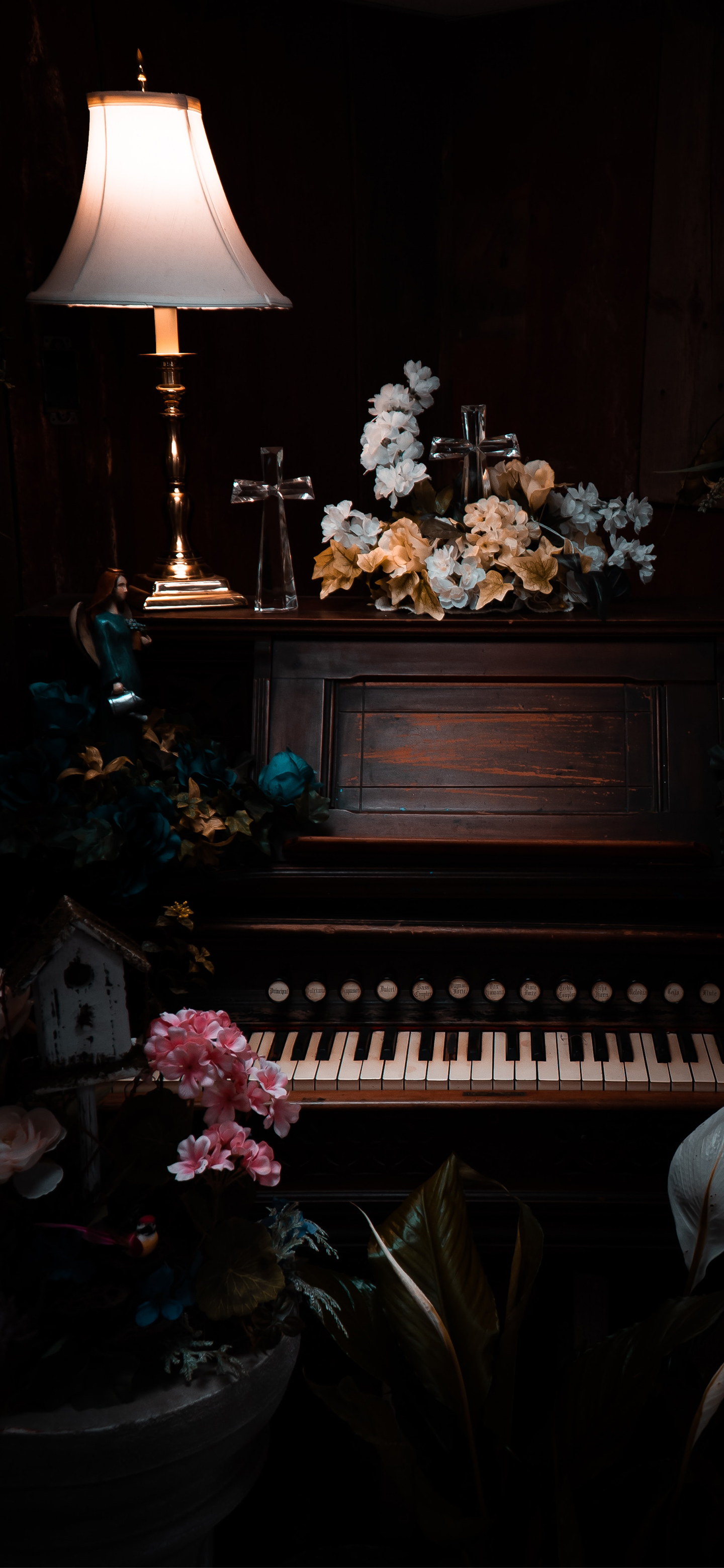 壁纸来了分享图,壁纸来了梵高