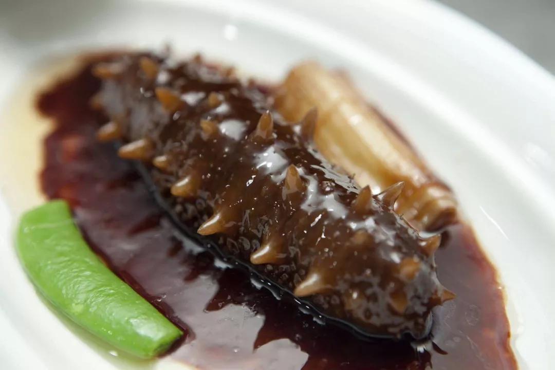 海参辽参刺参哪种参最好,海参刺参跟红参的区别