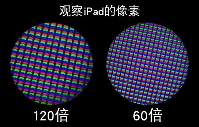 儿童显微镜下的微观世界,便携式儿童显微镜萌趣多