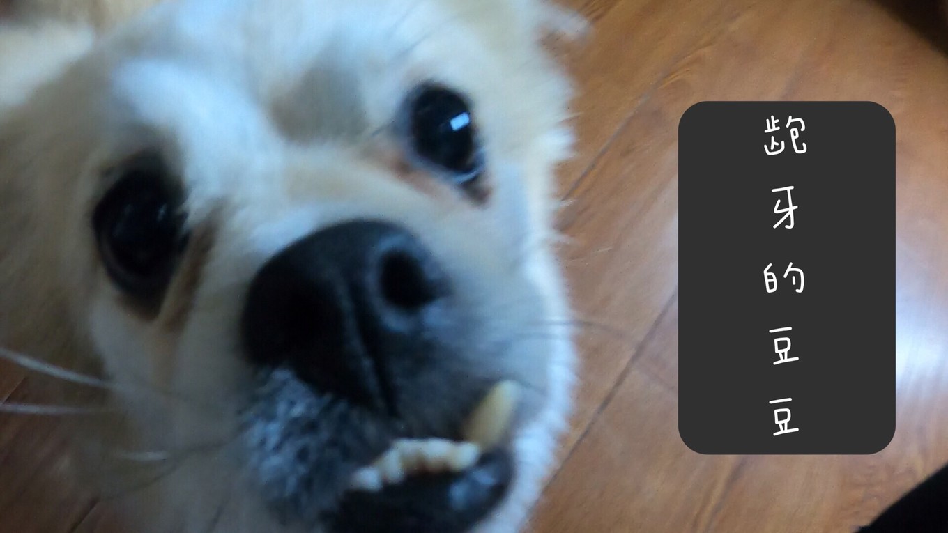 云南6日5晚自由行,云南六天五晚自由行