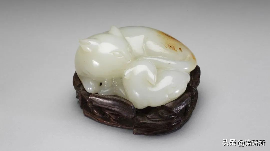 古代人如何称呼不同毛色的猫咪？