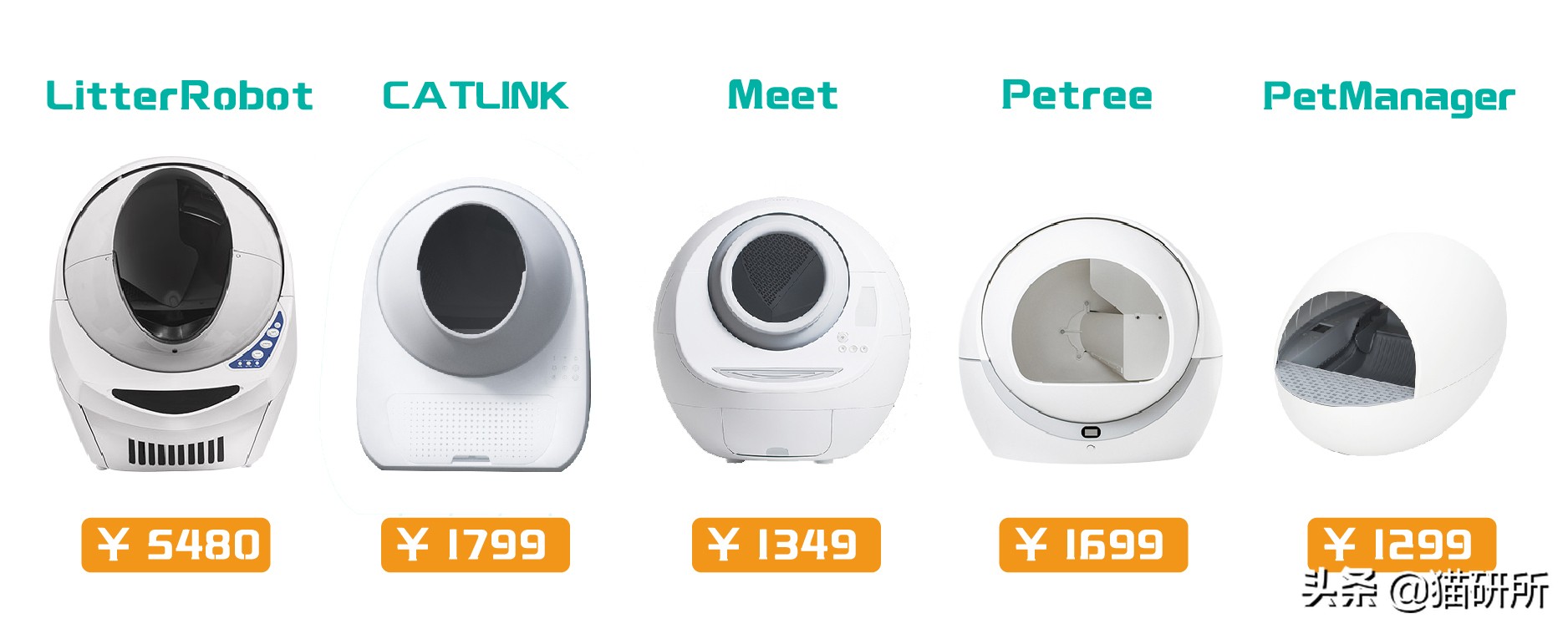 有陪智能猫砂盆真实测评,半封闭全自动猫砂盆测评