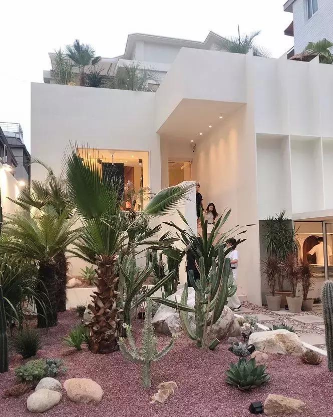 韩国首尔探店介绍,韩国必去的4个店