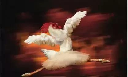 温州的市中心是哪个区,温州未来市中心