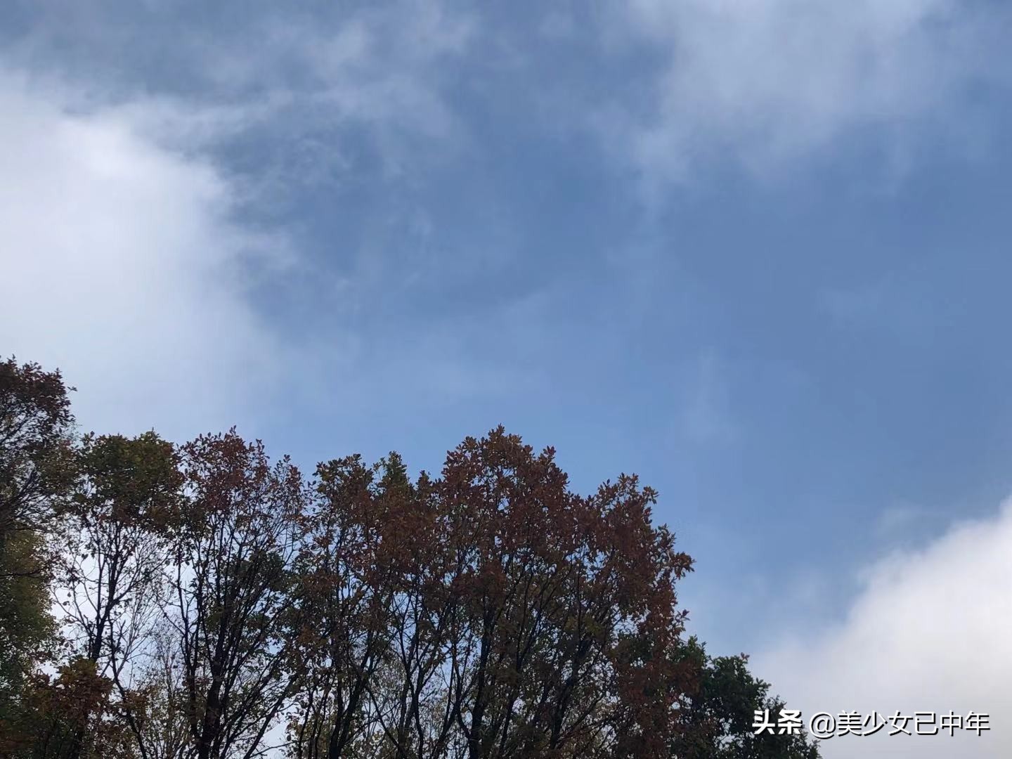 北京喇叭沟门原始森林公园,北京喇叭沟门原始森林攻略