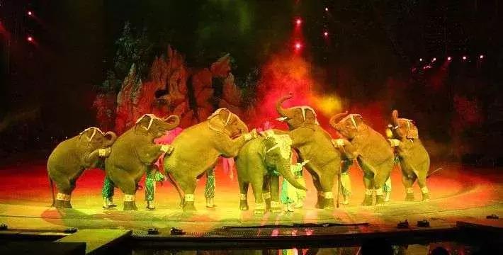 凯美瑞广西出发自驾游攻略,凯美瑞西藏旅游攻略自驾游