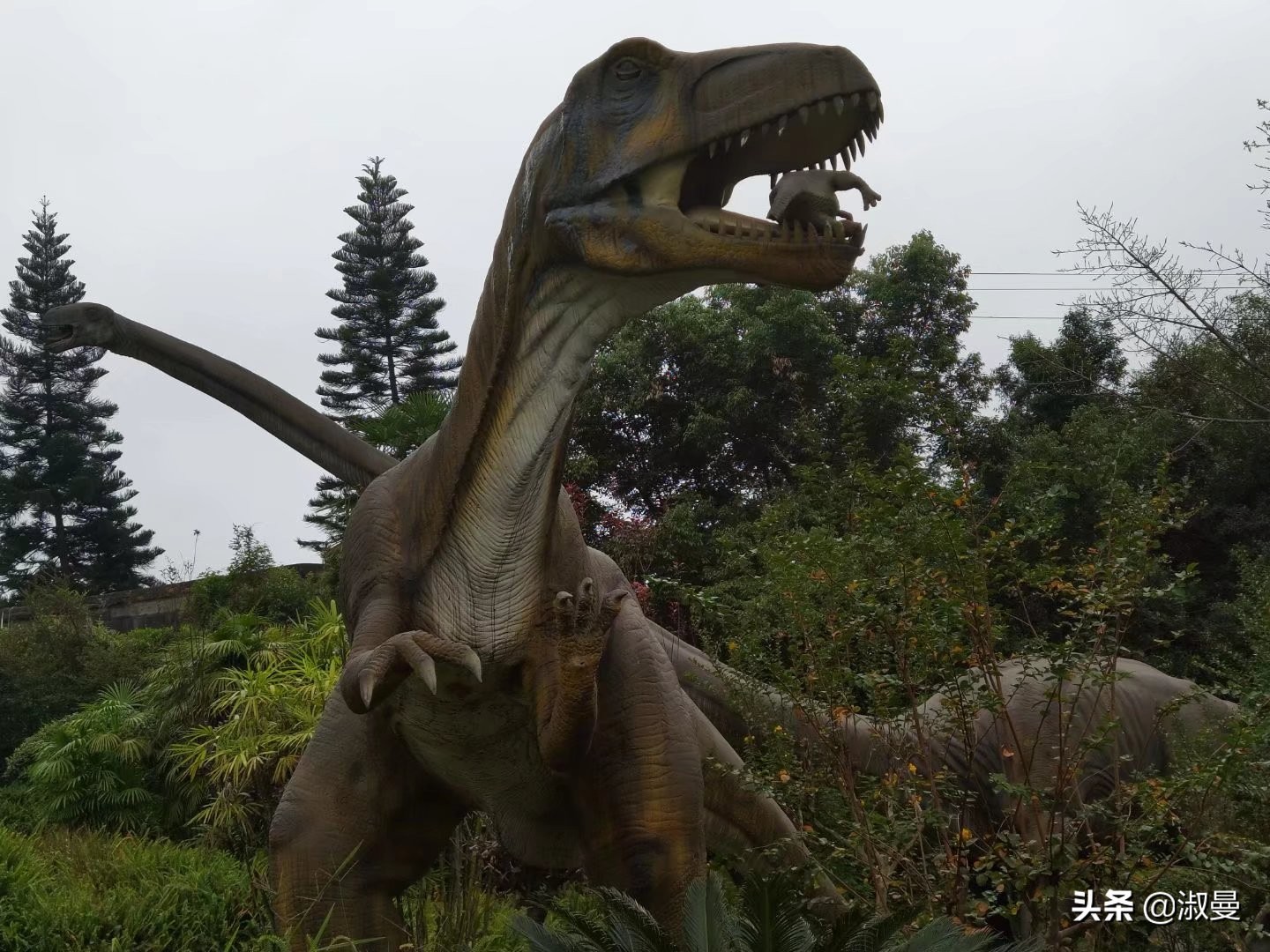 恐龙距今多少年前灭绝,恐龙灭绝前有人类吗