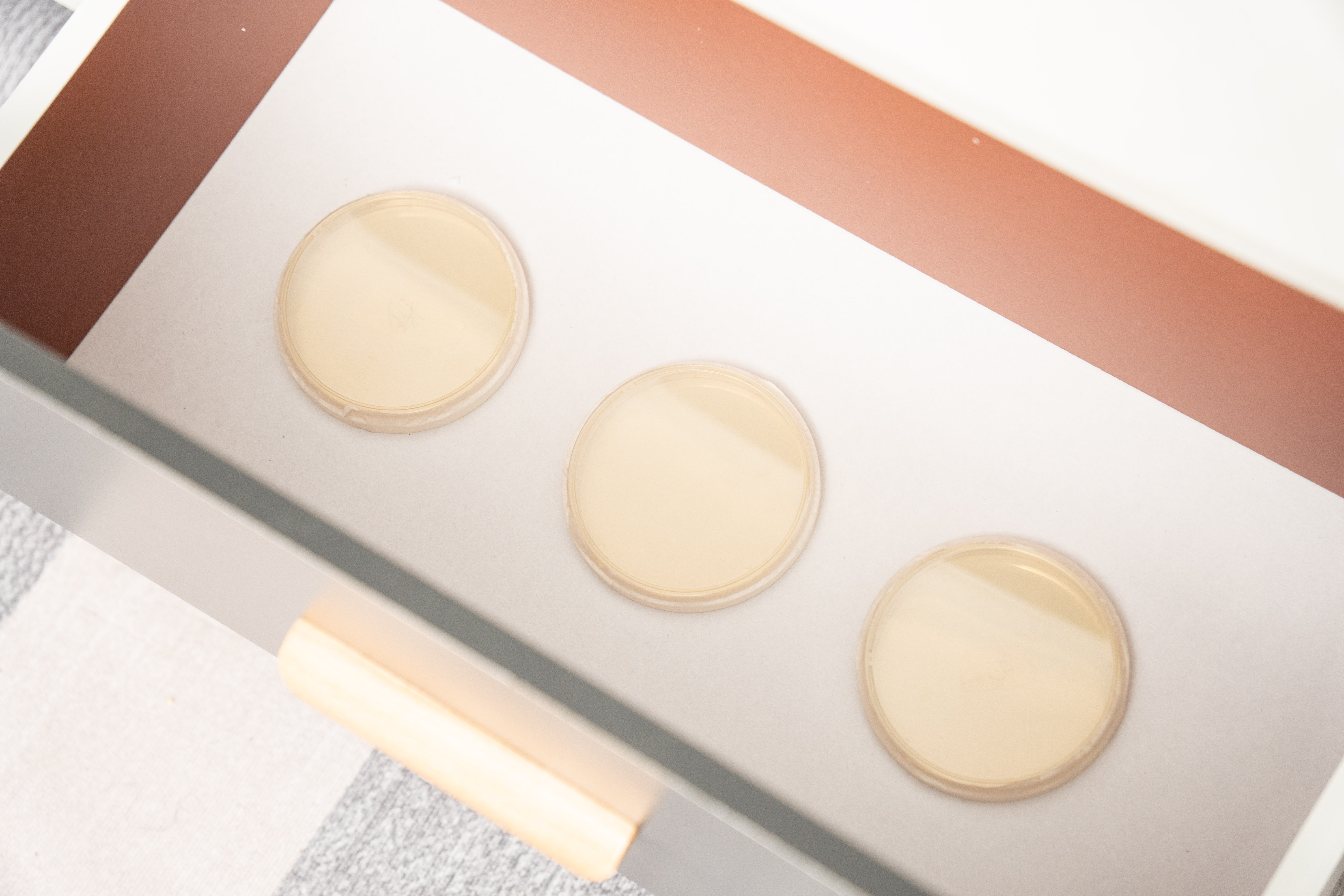 买空气净化器是不是交智商税,吸猫毛的空气净化器是智商税吗