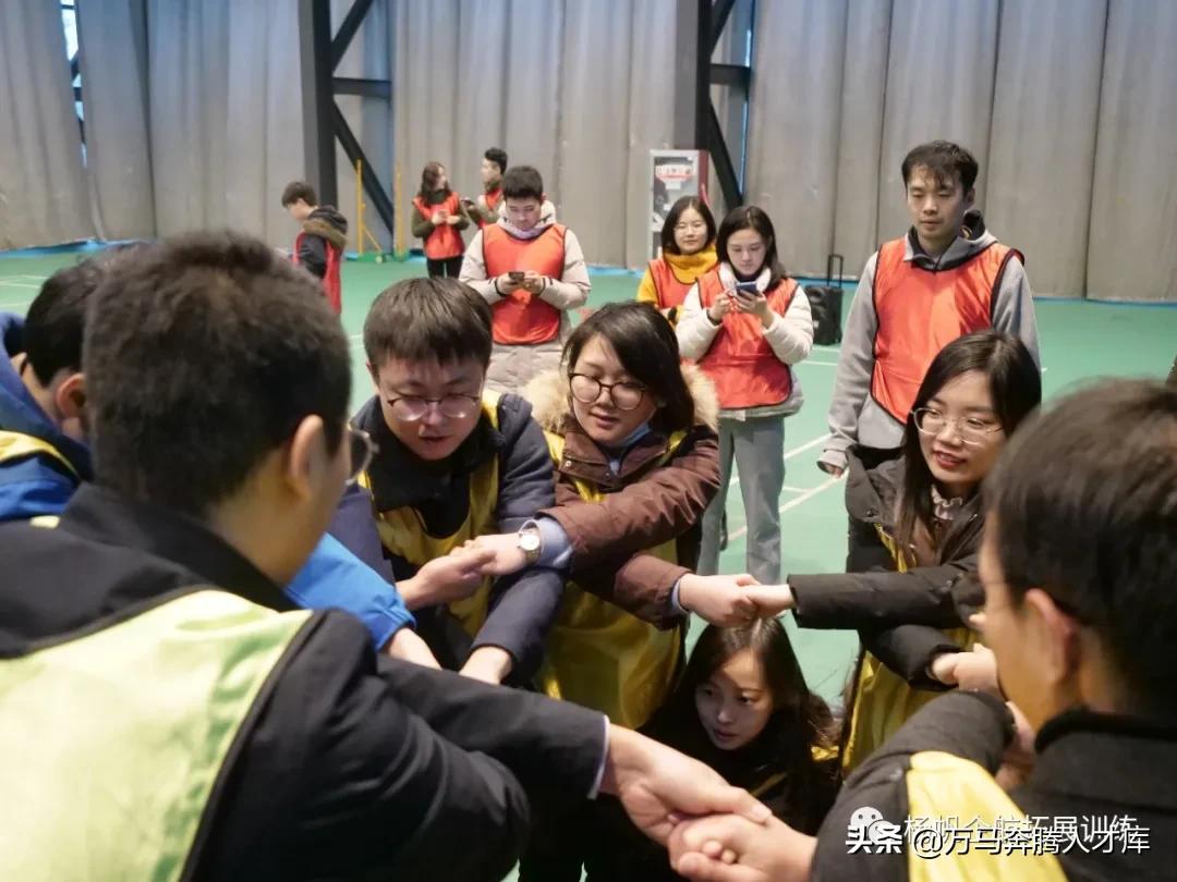 鏉ㄥ竼浼佽埅,鏉ㄥ竼浼佽埅鎷撳睍瀹屾暣瑙嗛