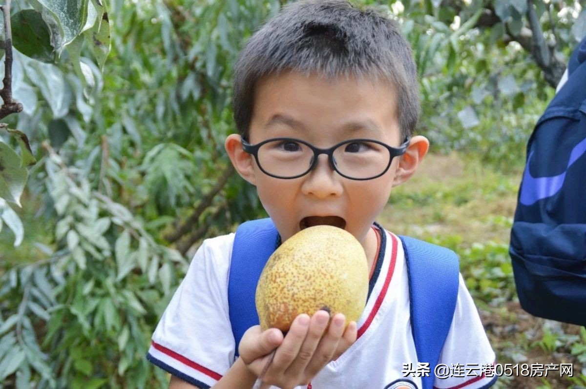 连云港市区学区房一览表,连云港实验小学学区房未来可期