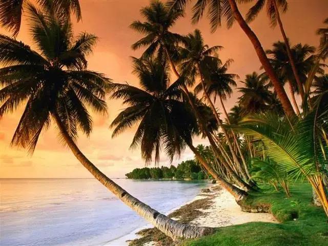 对联应掌握的90个知识点,对联知识点整理