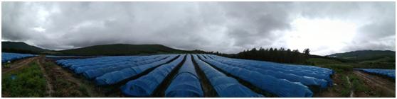 汇仁专注男性健康,汇仁药业极致品质从源头开始