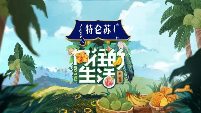 向往的生活第四季西双版纳第一集,向往的生活第四季西双版纳拍摄地