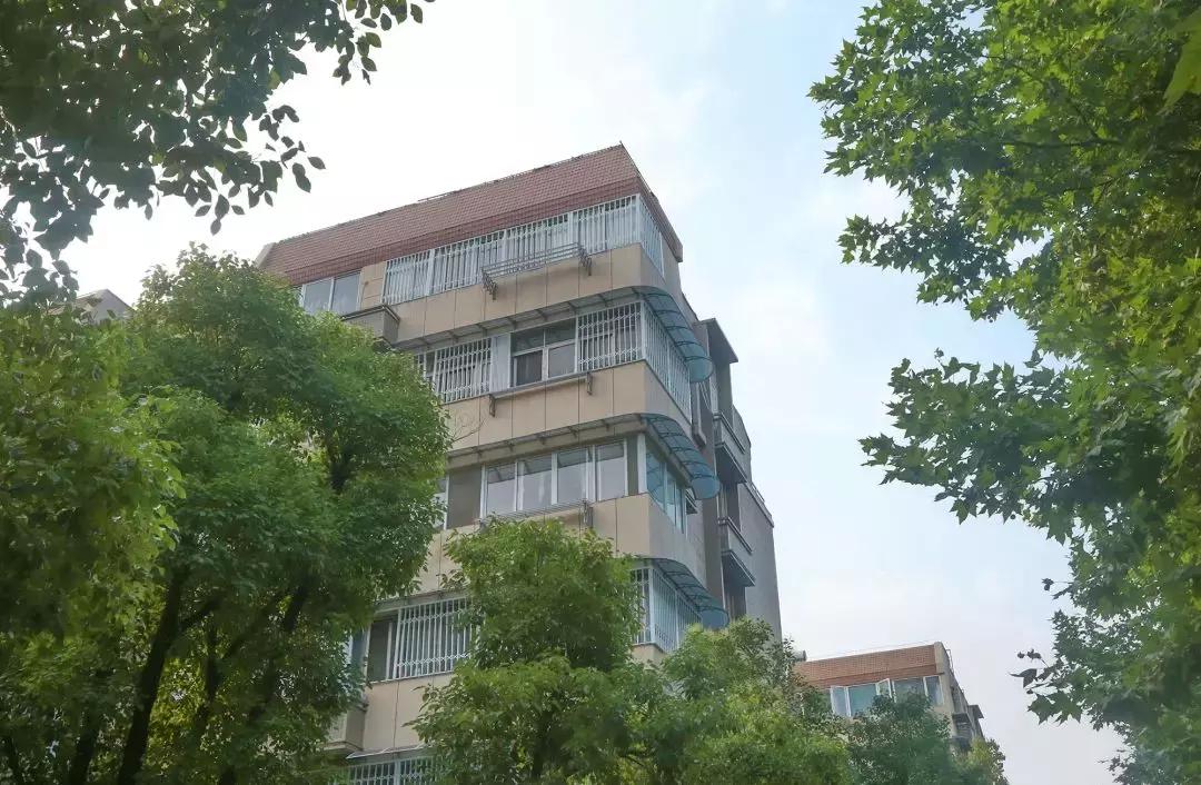 龙江，我不是河西